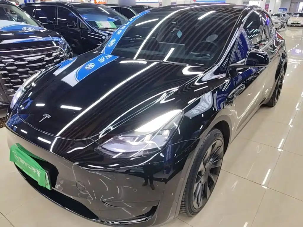 Tesla Model Y — миниатюра 2