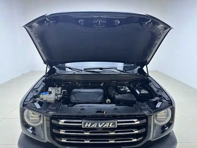 Haval Big Dog — миниатюра 13