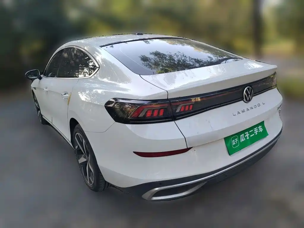 Volkswagen Lamando — миниатюра 25