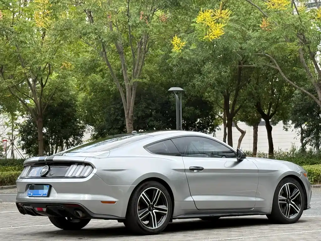 Ford Mustang — миниатюра 5