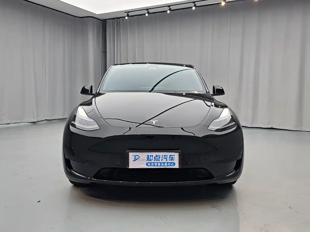 Tesla Model Y — миниатюра 2