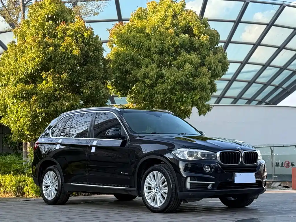 BMW X5 2014 xDrive35i Lead