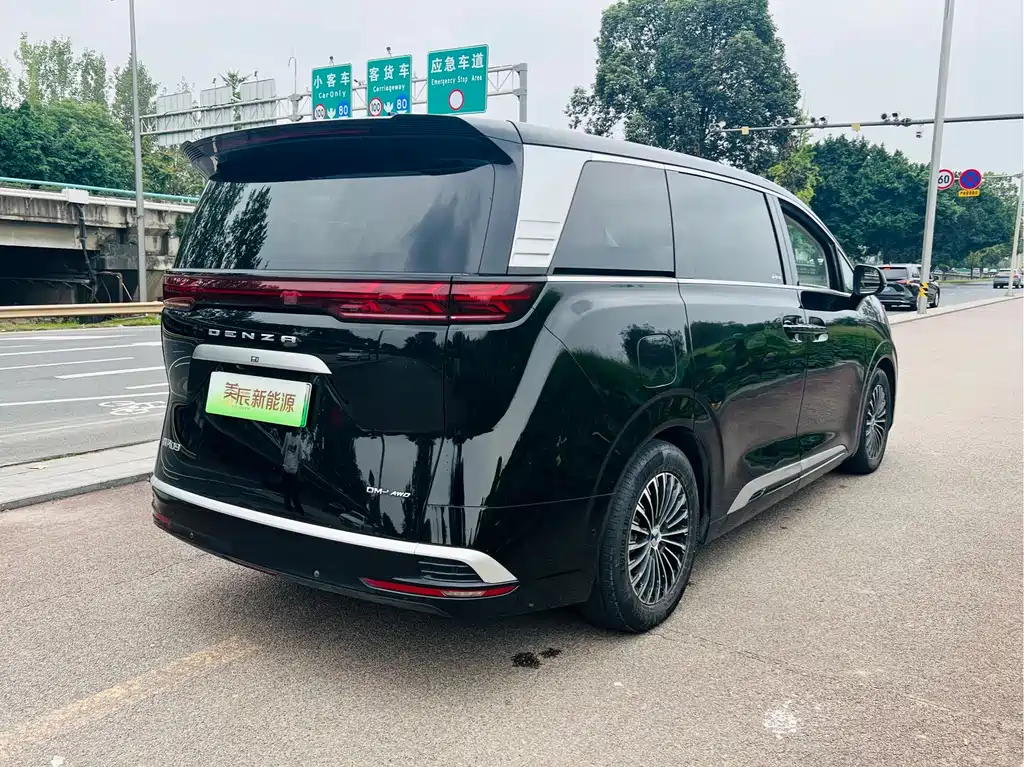 Denza Denza D9 — миниатюра 14