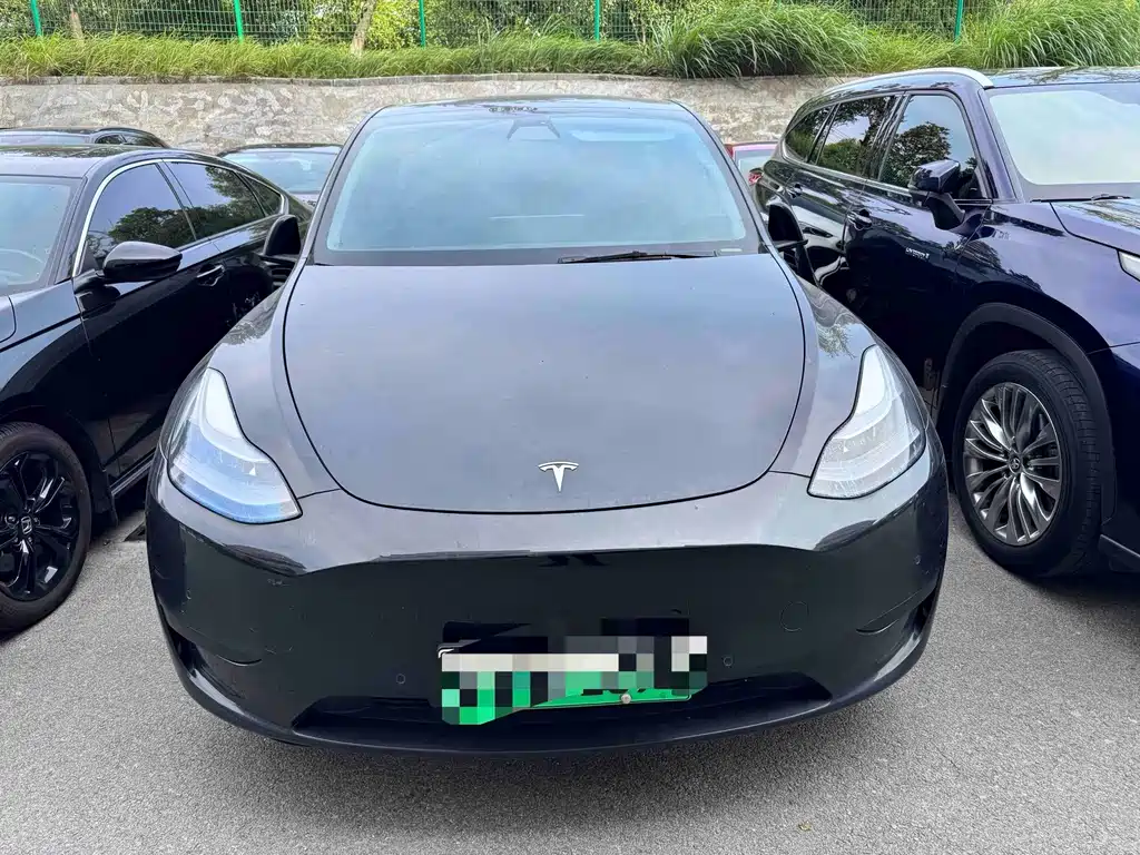 Tesla Model Y — миниатюра 4