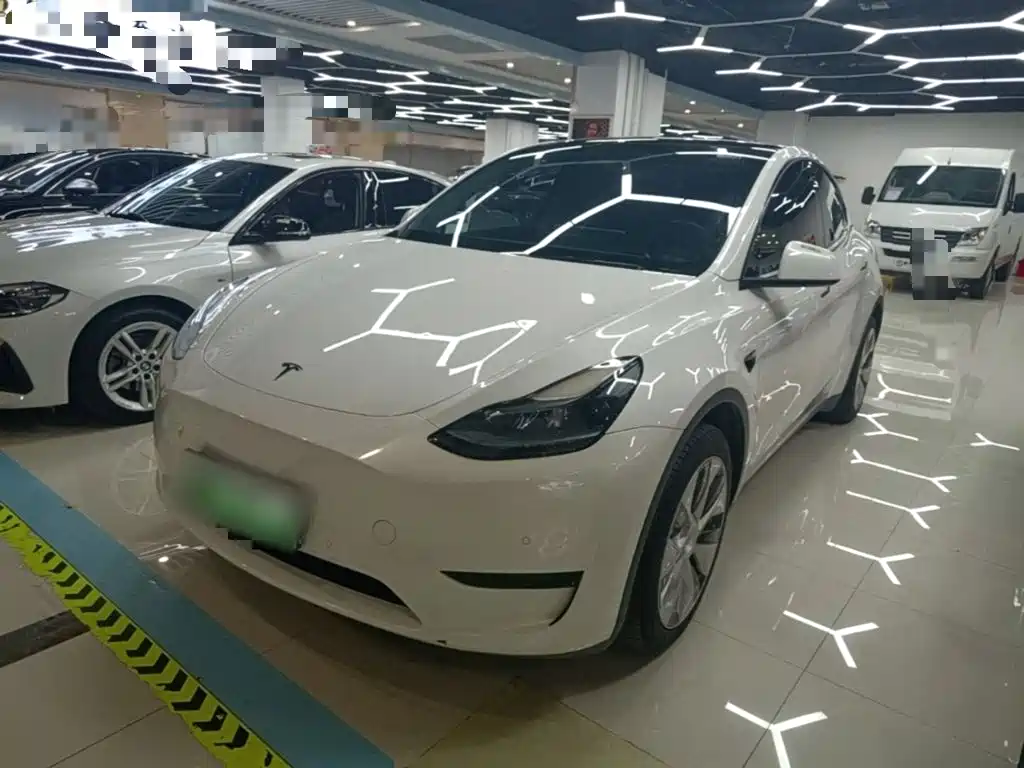 Tesla Model Y — миниатюра 2