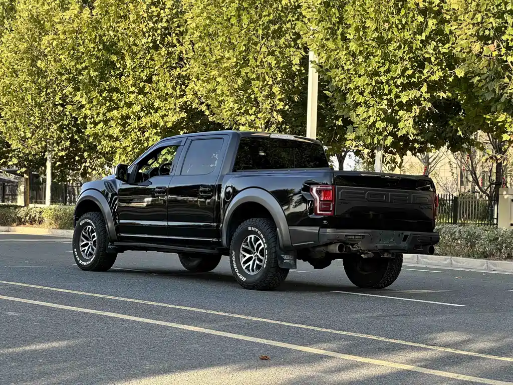 Ford F-150 Raptor — миниатюра 9