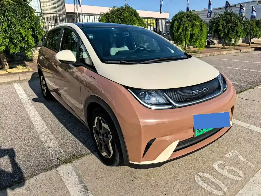 BYD Dolphin — миниатюра 3