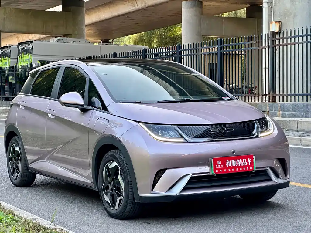 BYD Dolphin — миниатюра 20