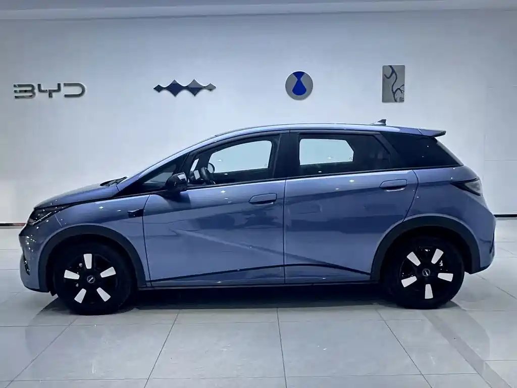 BYD Dolphin — миниатюра 2