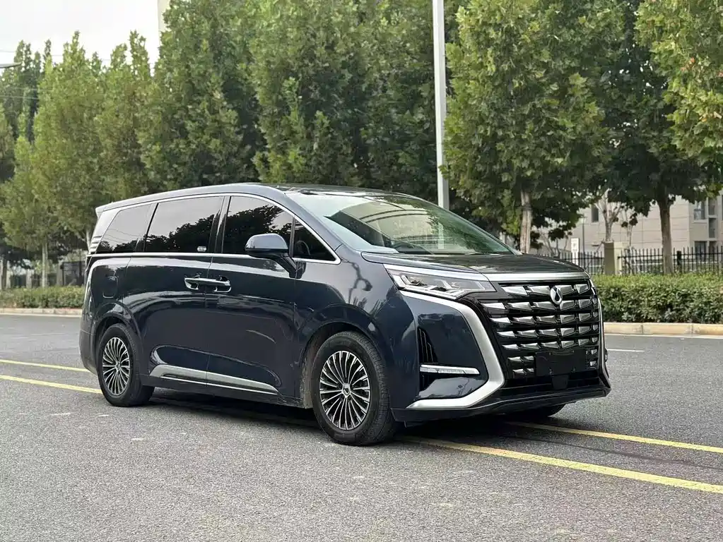 Denza Denza D9 — миниатюра 2