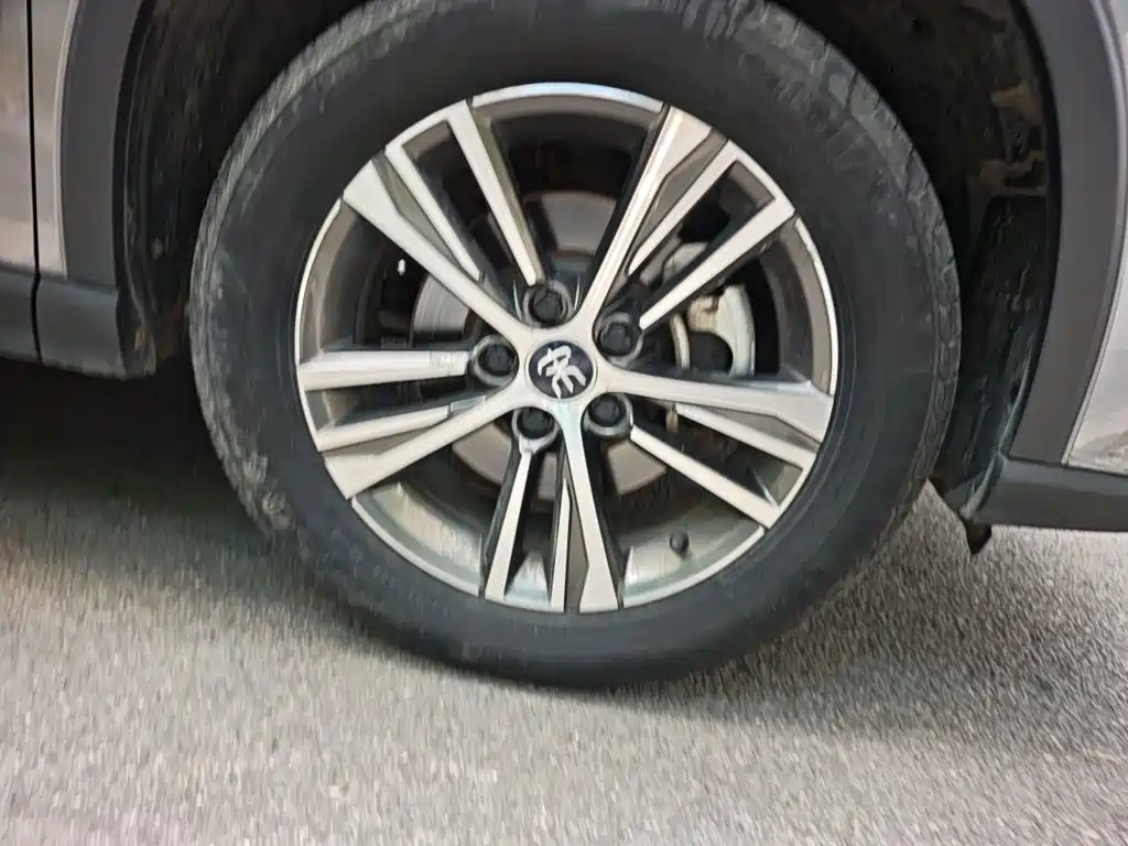 BYD Pro — миниатюра 24