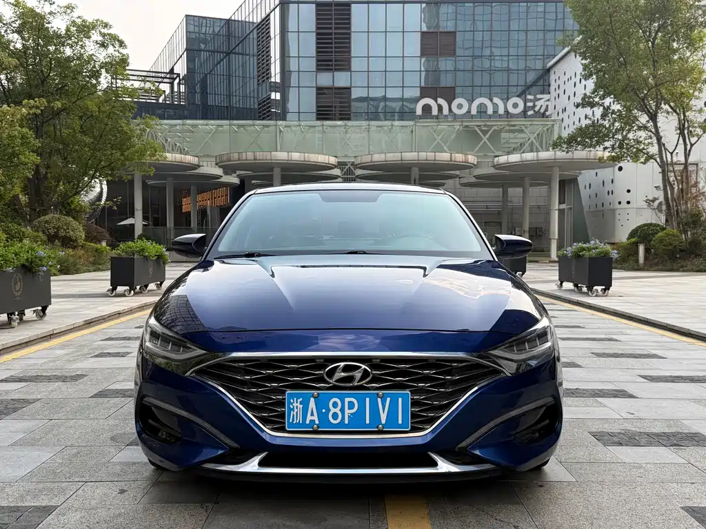 Hyundai Fista — миниатюра 2
