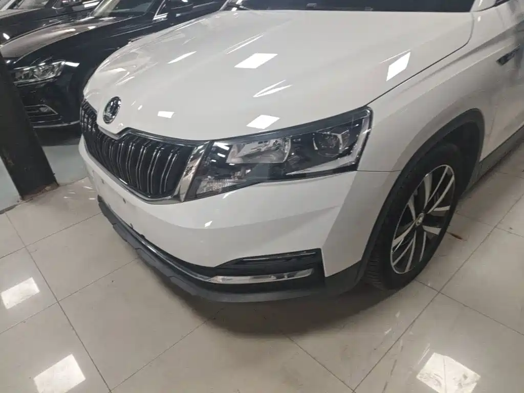 Skoda Kamiq — миниатюра 24