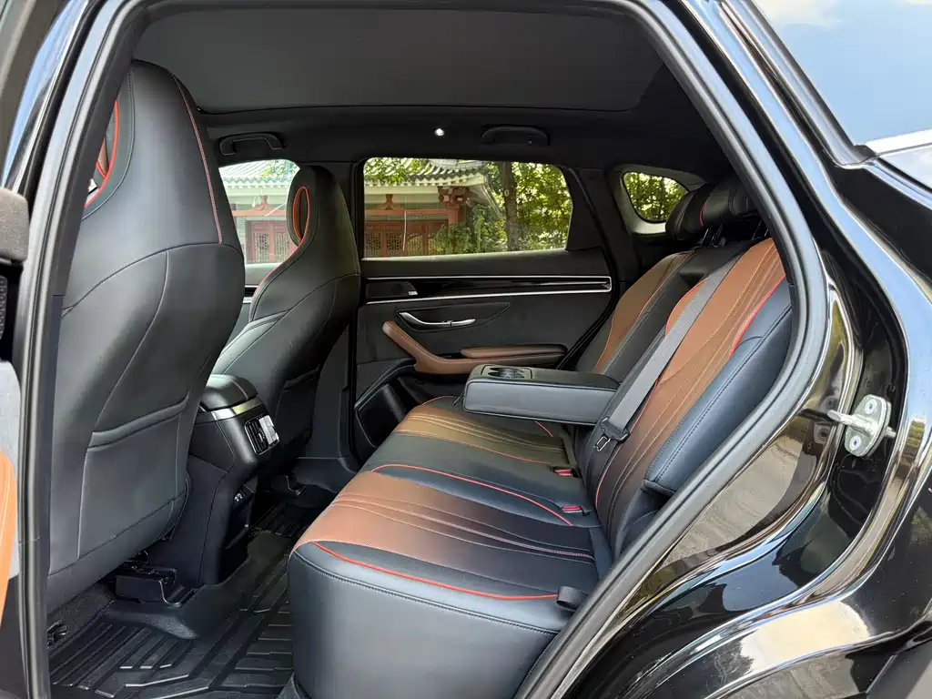 BYD PLUS — миниатюра 6
