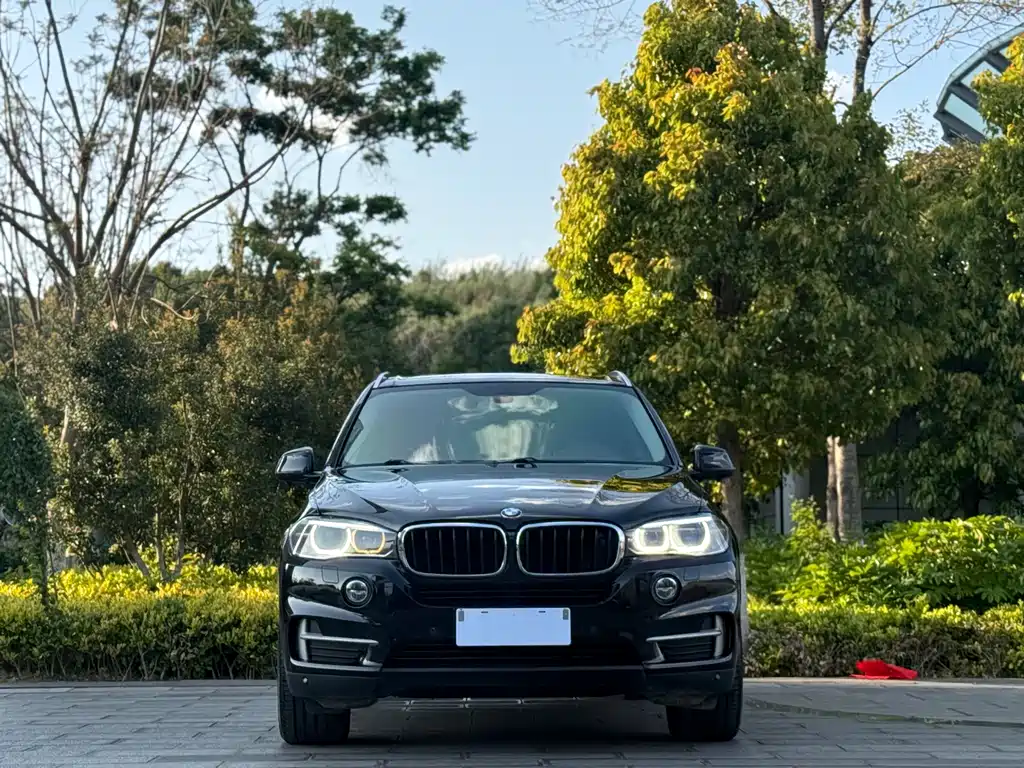 BMW X5 2014 xDrive35i Lead