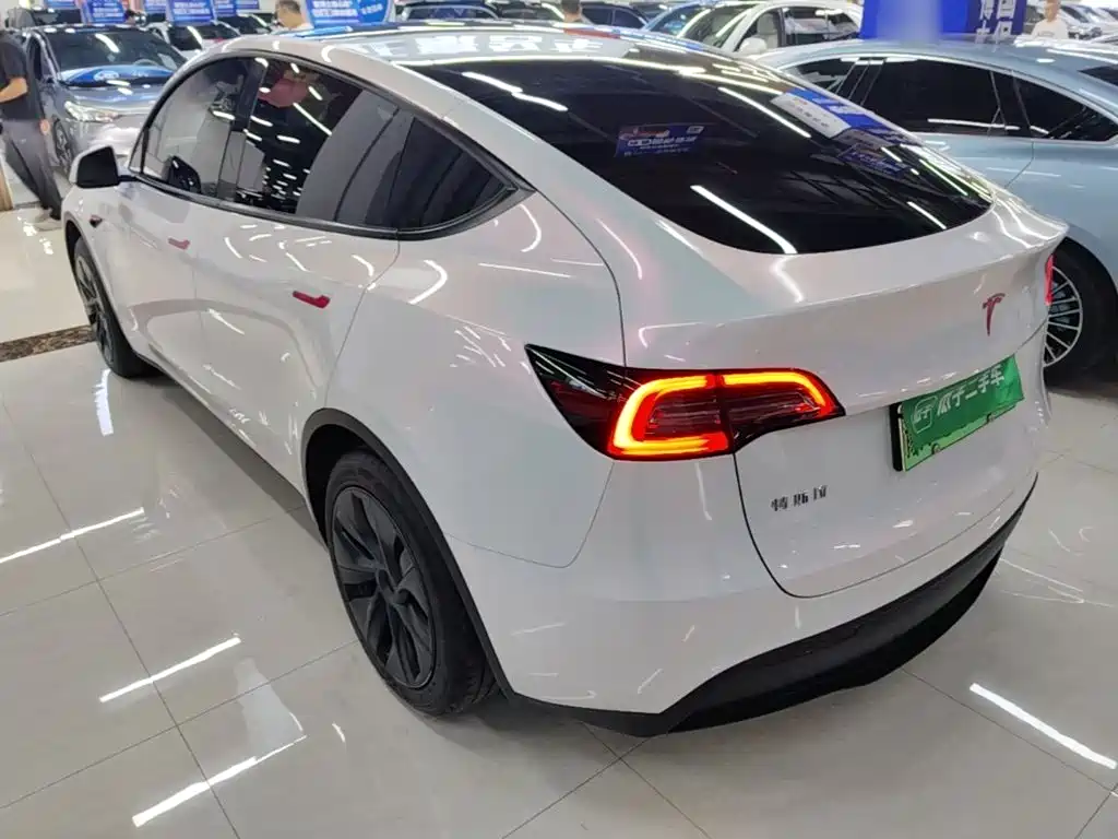 Tesla Model Y — миниатюра 5