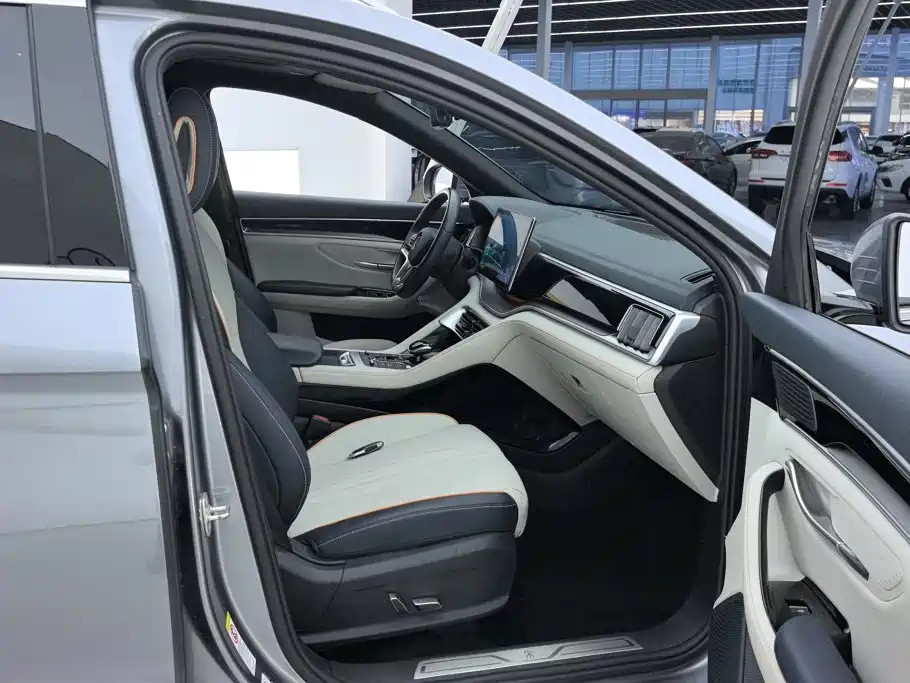BYD PLUS New Energy — миниатюра 8