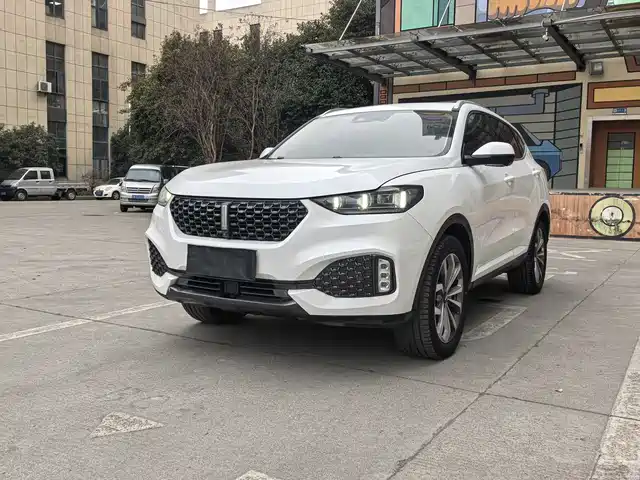 WEI PAI WEI BRAND VV6