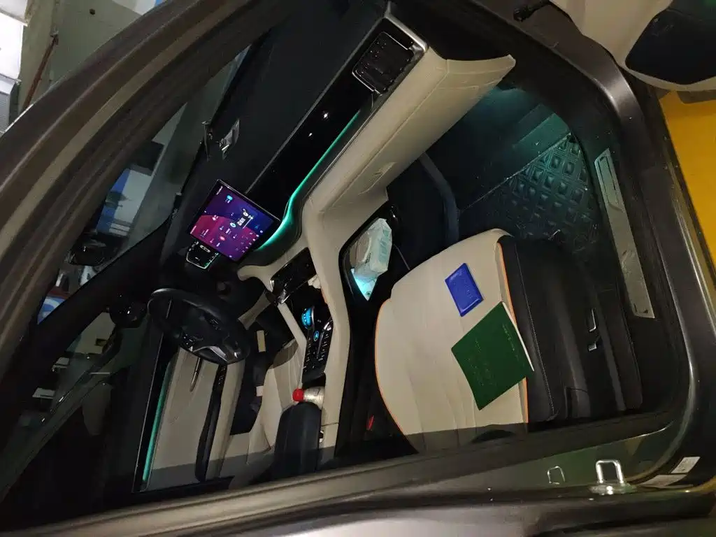 BYD PLUS New Energy — миниатюра 19