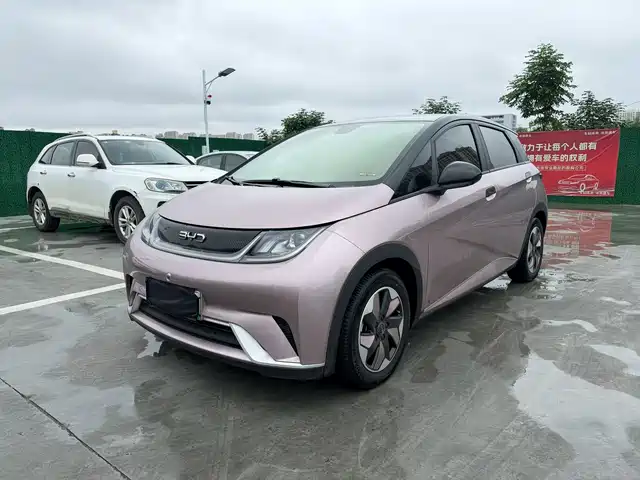 BYD Dolphin