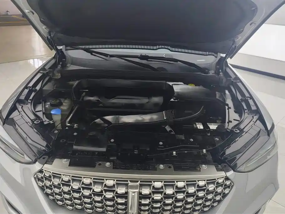 Wey VV6 2021 2.0T +