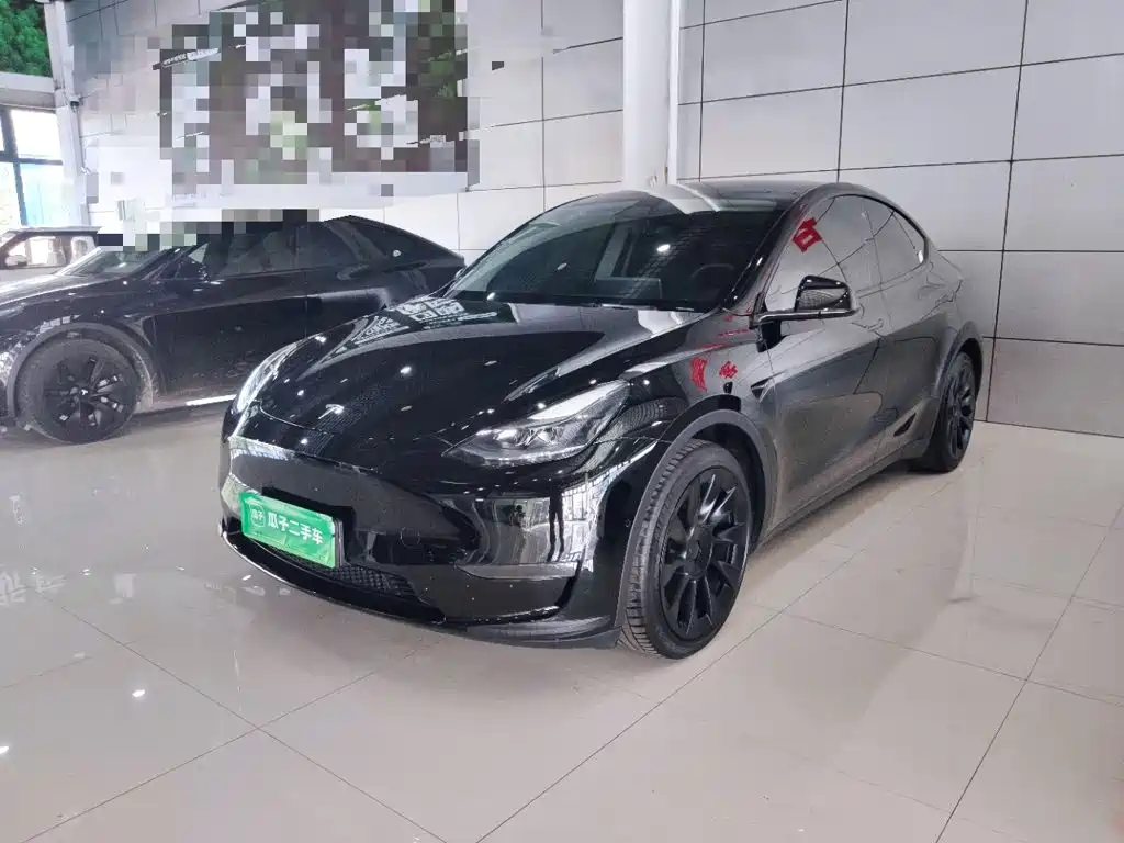Tesla Model Y — миниатюра 2