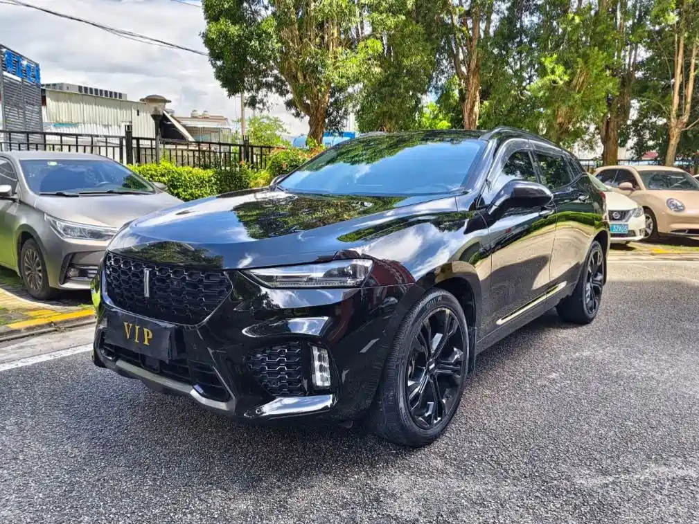 WEI PAI WEI BRAND VV7