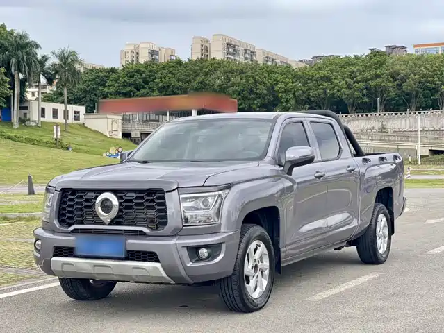 Great Wall King Kong Poer