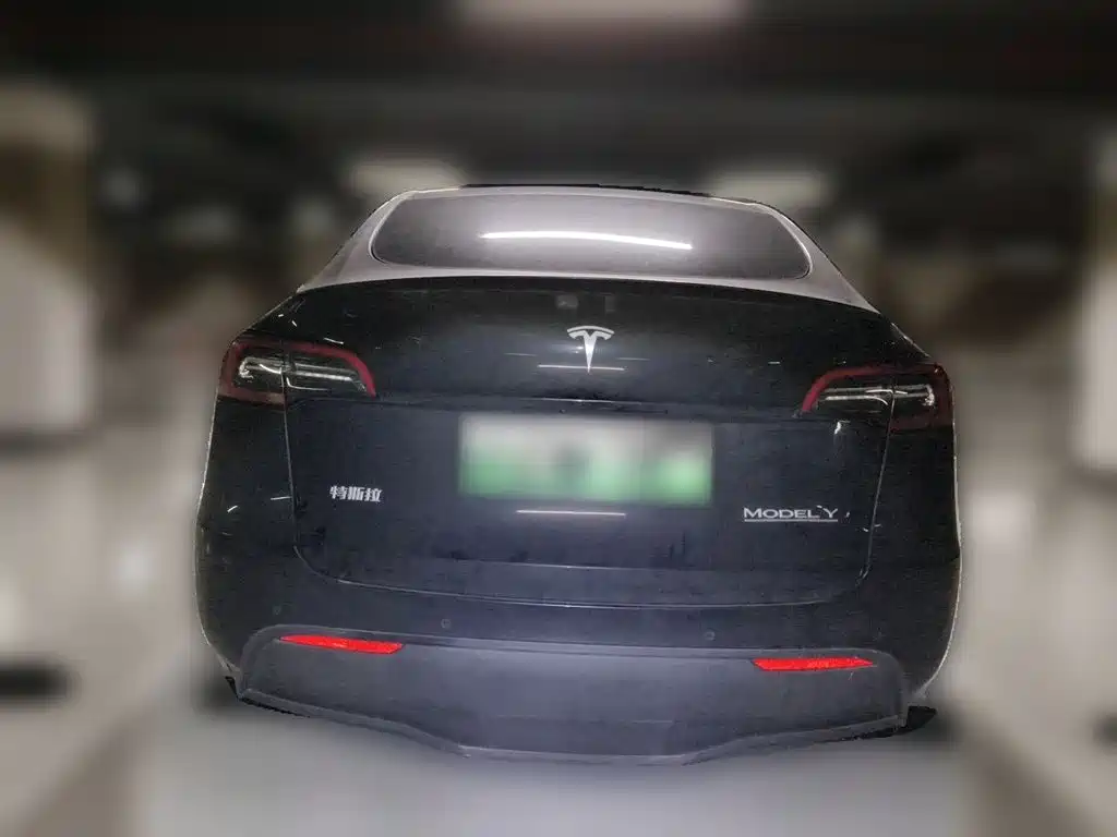 Tesla Model Y — миниатюра 4