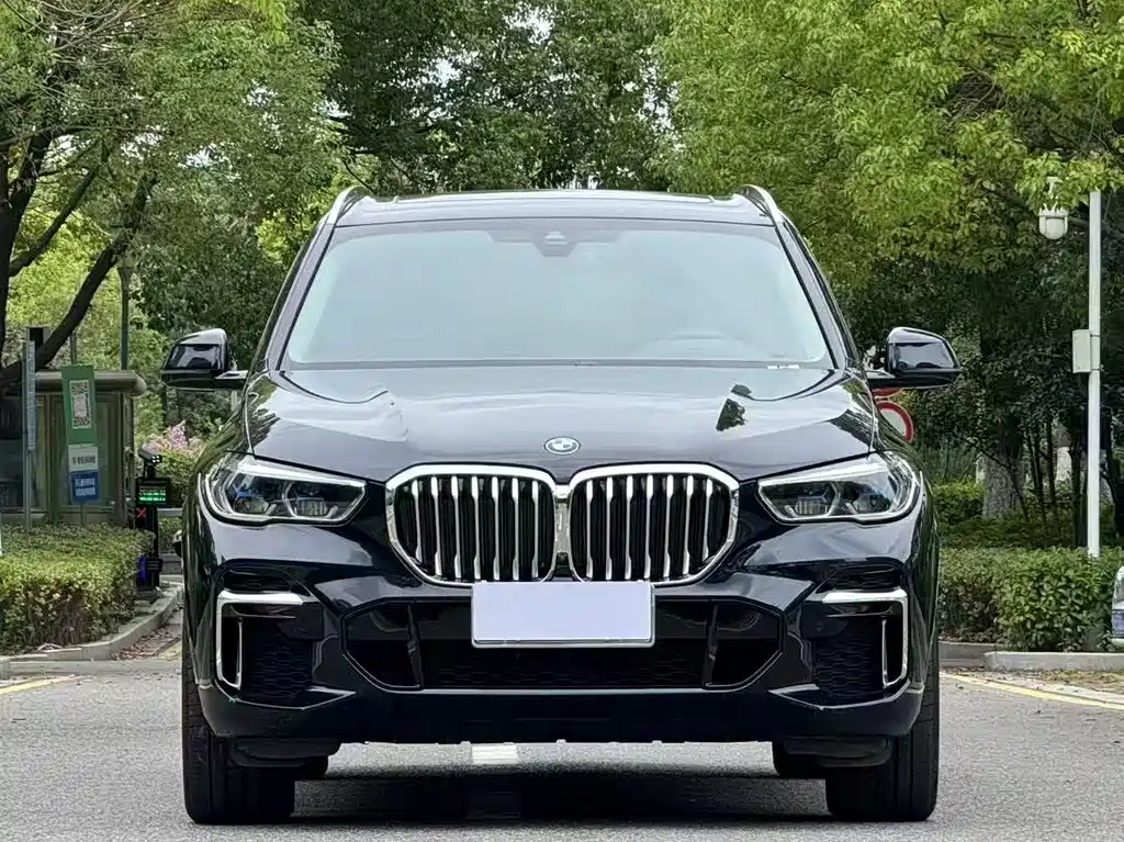 BMW X5 — миниатюра 2