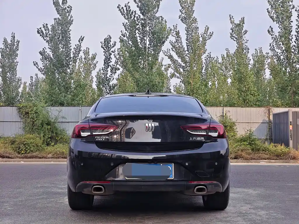 Buick Regal — миниатюра 5