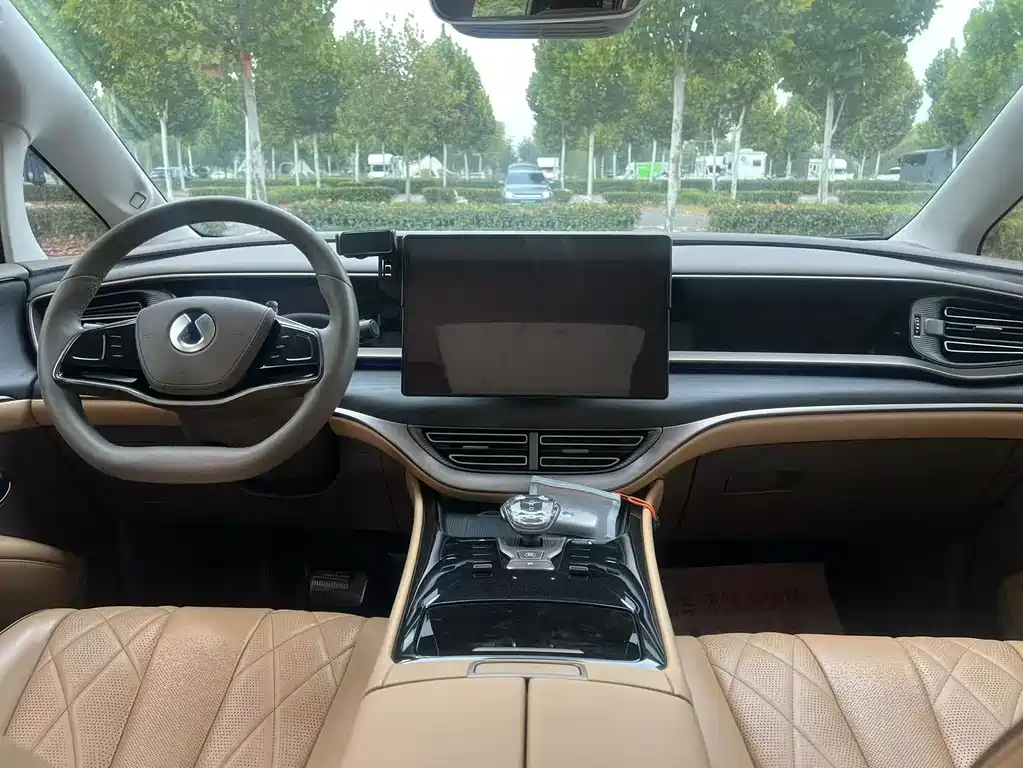 Denza Denza D9 — миниатюра 6
