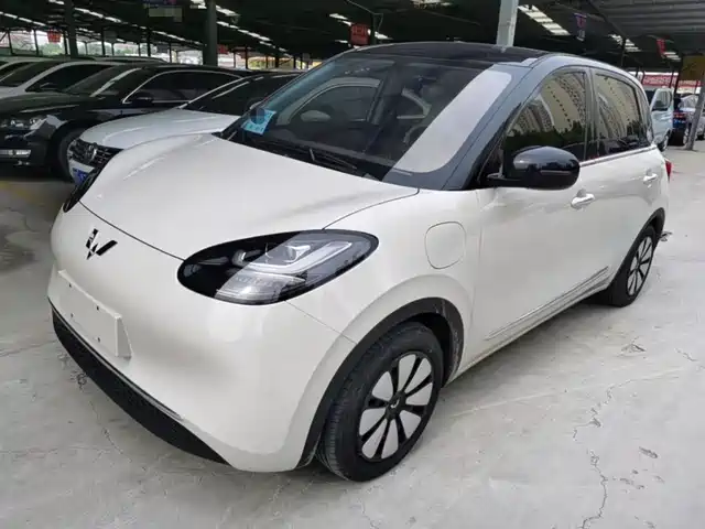2025 Wuling Motors Binguo