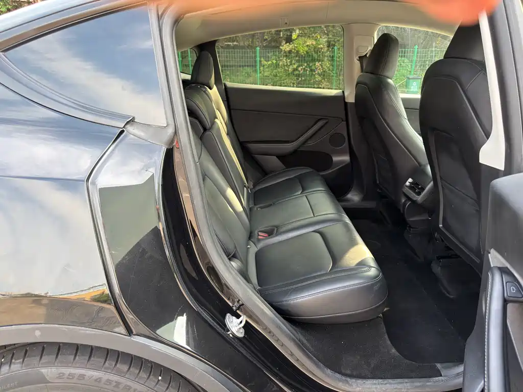 Tesla Model Y — миниатюра 11