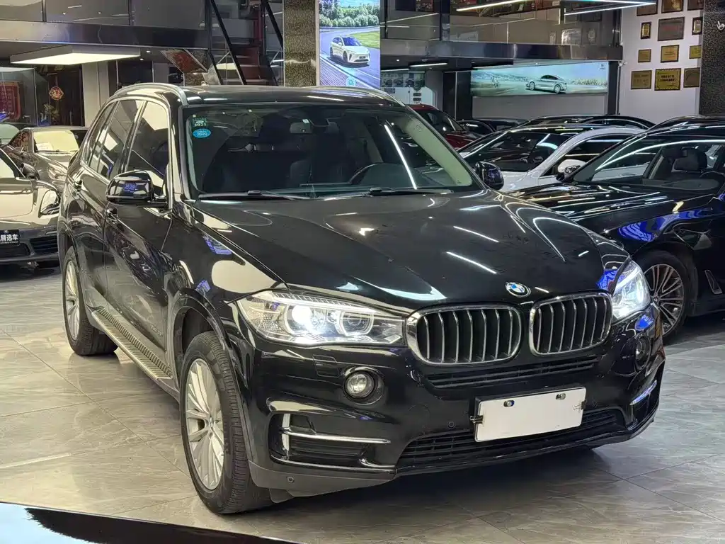 BMW X5 (Import) — миниатюра 2