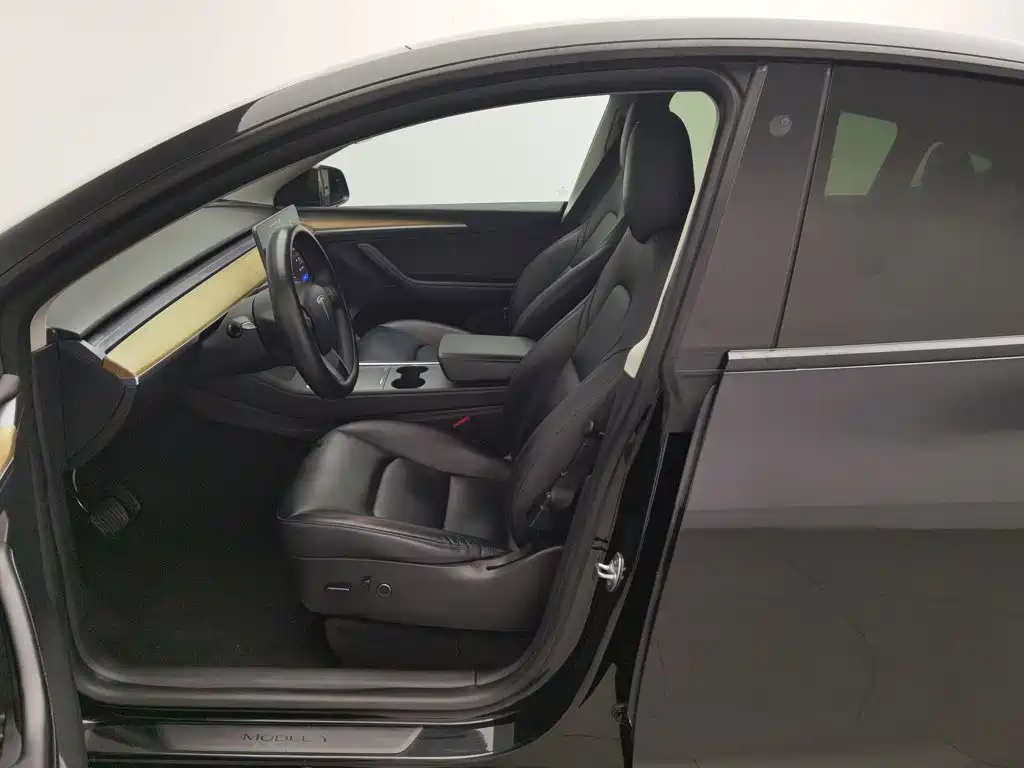 Tesla Model Y — миниатюра 10