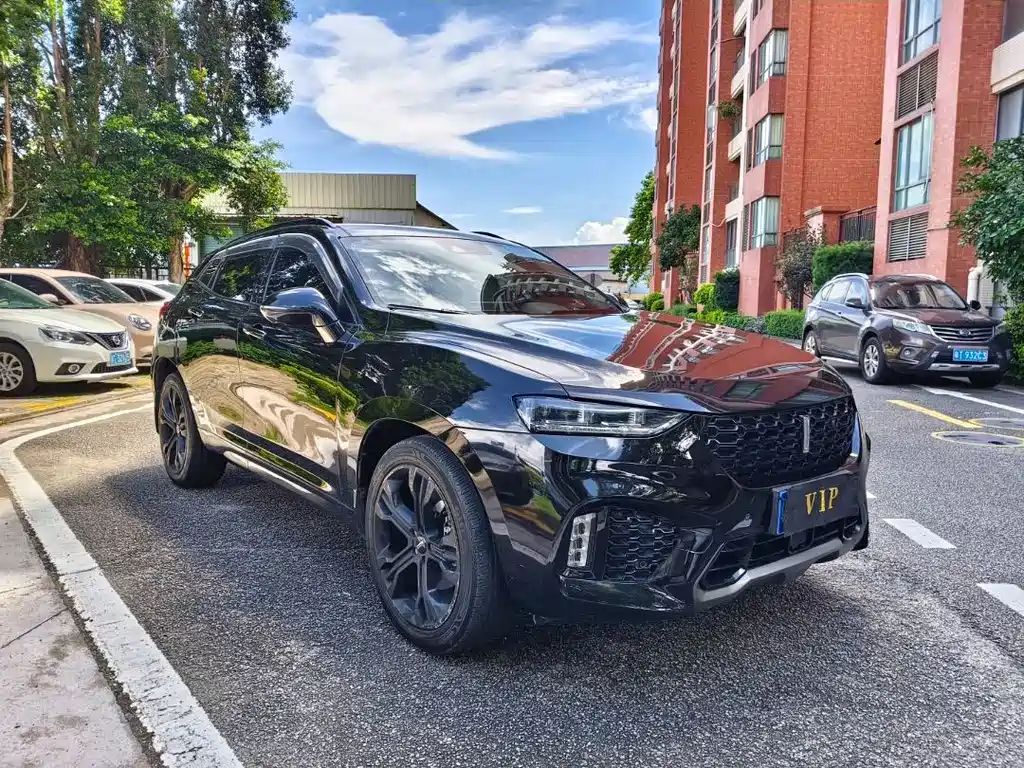 WEI PAI WEI BRAND VV7