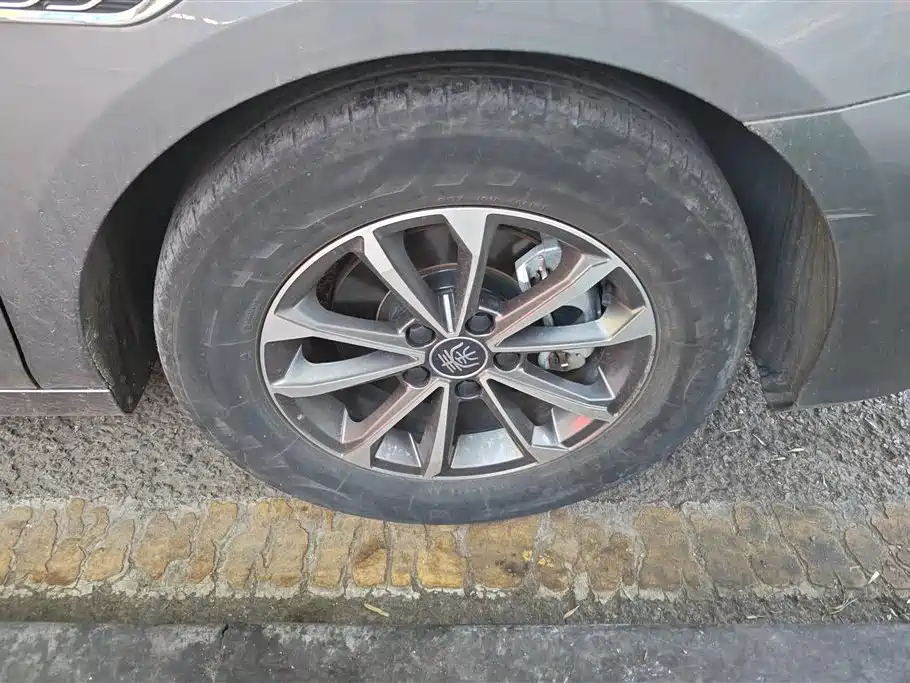 BYD Qin Plus PLUS 2024 DM-i 55KM Lead