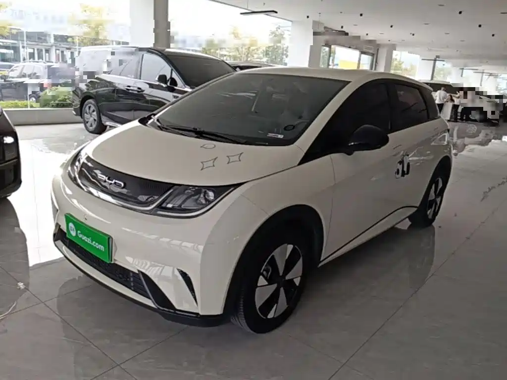 BYD Dolphin