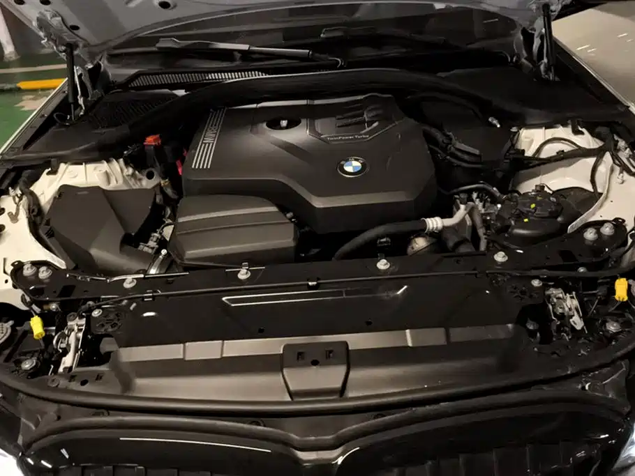 BMW 3 Series 3 2022 325Li M Sport