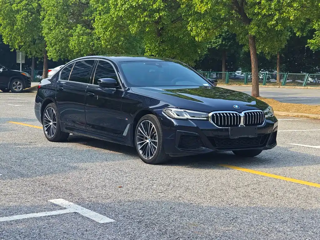 BMW 5 SERIES