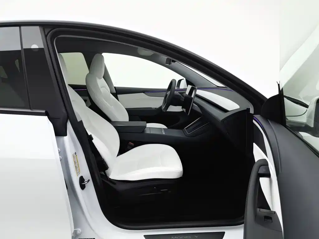 Tesla Model Y — миниатюра 23