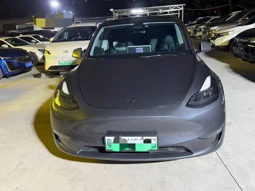 Tesla Model Y — миниатюра 2