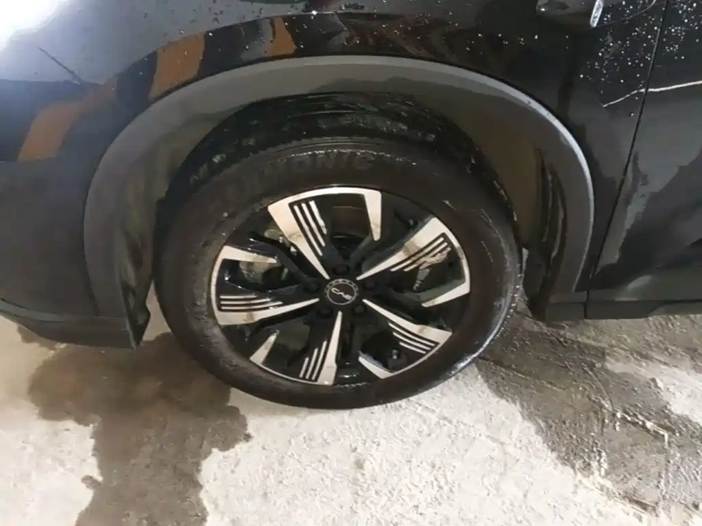 BYD Sealion 05 DM-i — миниатюра 23