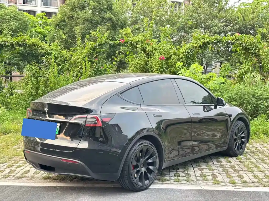 Tesla Model Y — миниатюра 2