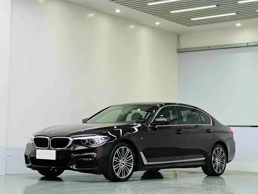 BMW 5 Series 2019