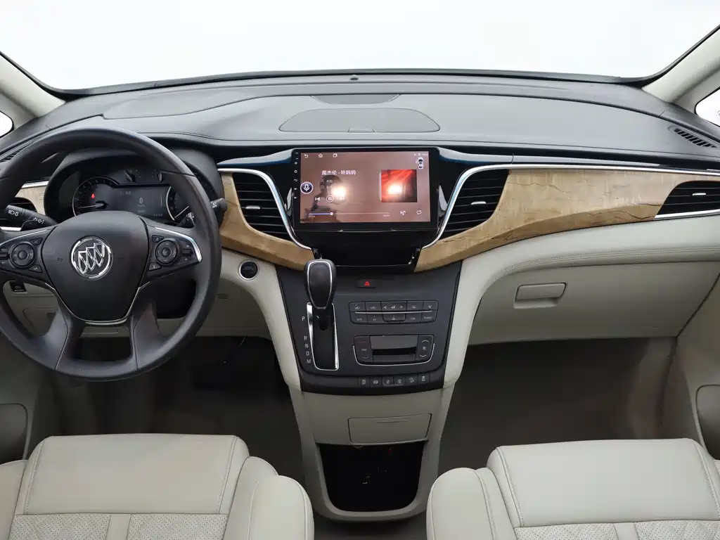 Buick GL8 — миниатюра 19