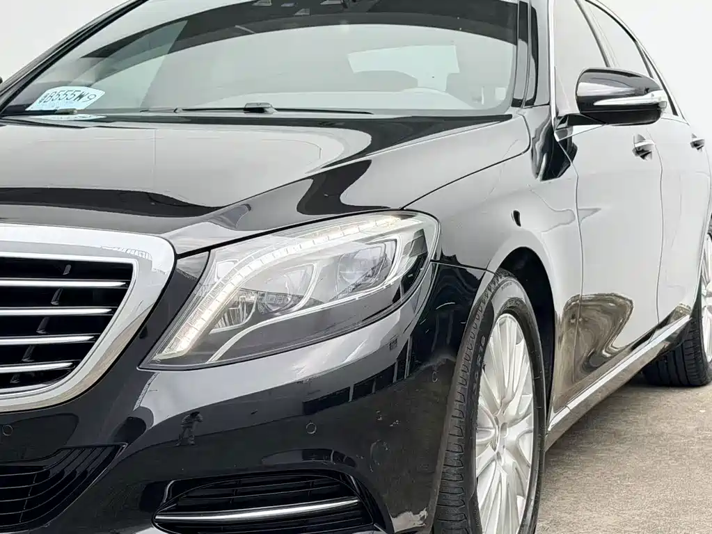 Mercedes-Benz S-Class S 320 L Luxury Type, фото 11