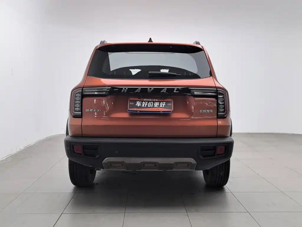 Haval Big Dog — миниатюра 4