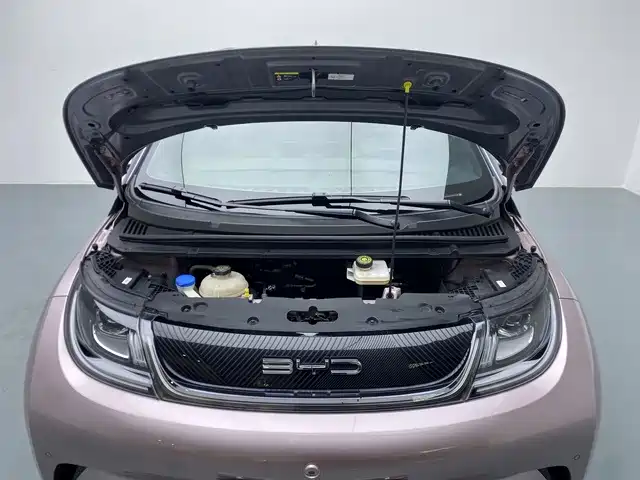 BYD Dolphin — миниатюра 9